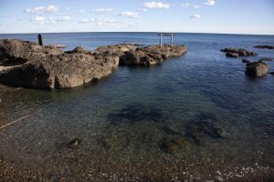 大洗　海鳥居　230102